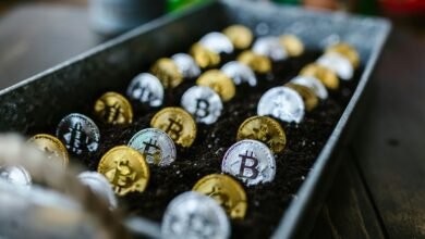 stock investment wealth building