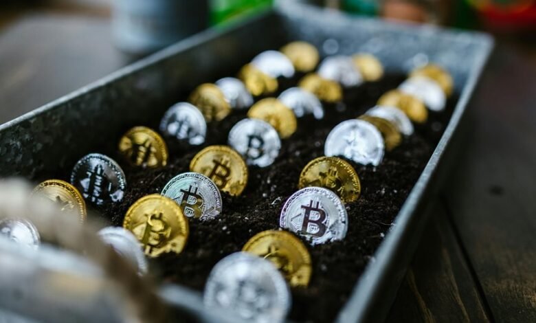 stock investment wealth building