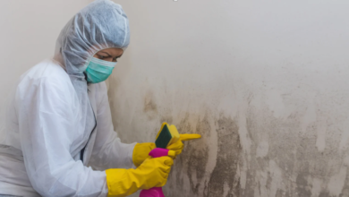 Why Attic Mold Removal Requires Specialized Techniques