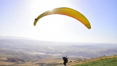 digital expansion launch initiated